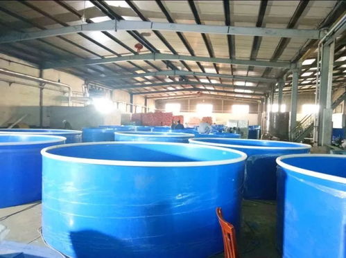 德清新港省級現代農業園區再次上榜 這次是因為