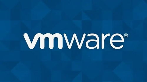 VMware發(fā)布vSphere與vSAN應用軟件服務，以集中式基礎架構管理簡化運營