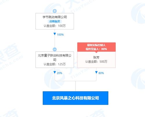 字節(jié)跳動(dòng)關(guān)聯(lián)公司布局基礎(chǔ)軟件服務(wù)領(lǐng)域，戰(zhàn)略投資彰顯科技生態(tài)新動(dòng)向